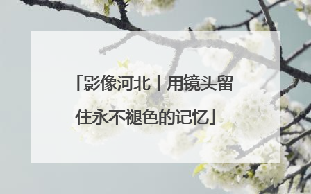 影像河北丨用镜头留住永不褪色的记忆