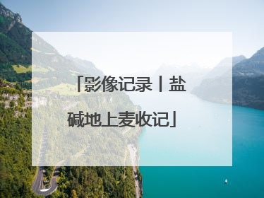 影像记录丨盐碱地上麦收记