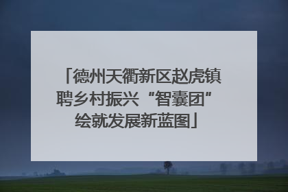 德州天衢新区赵虎镇聘乡村振兴“智囊团” 绘就发展新蓝图