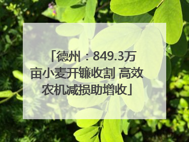 德州：849.3万亩小麦开镰收割 高效农机减损助增收
