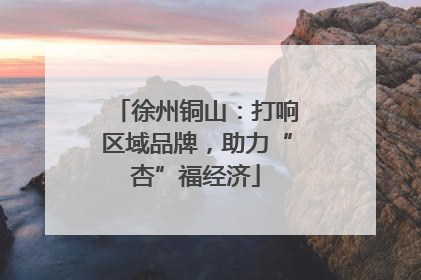 徐州铜山：打响区域品牌，助力“杏”福经济