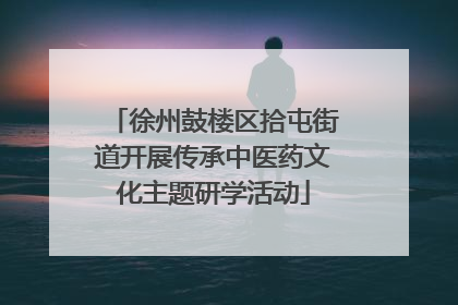徐州鼓楼区拾屯街道开展传承中医药文化主题研学活动