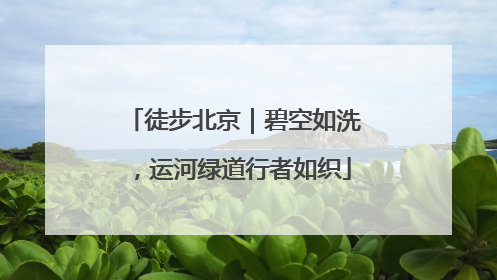 徒步北京｜碧空如洗，运河绿道行者如织