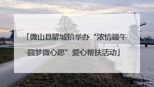 微山县驩城镇举办“浓情端午·圆梦微心愿”爱心帮扶活动