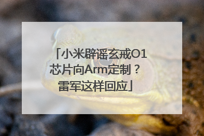 小米辟谣玄戒O1芯片向Arm定制？雷军这样回应