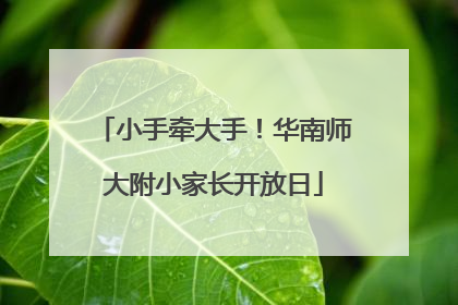 小手牵大手！华南师大附小家长开放日