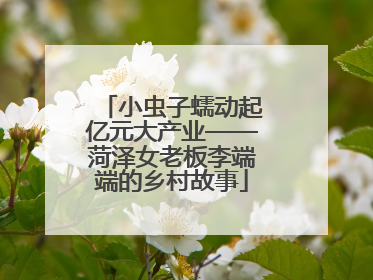 小虫子蠕动起亿元大产业——菏泽女老板李端端的乡村故事