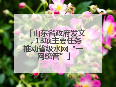 山东省政府发文，13项主要任务推动省级水网“一网统管”