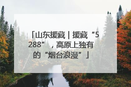 山东援藏｜援藏“5288”，高原上独有的“烟台浪漫”