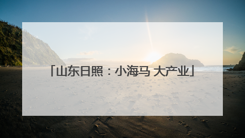 山东日照：小海马 大产业