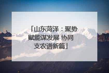 山东菏泽：聚势赋能谋发展 协同支农谱新篇