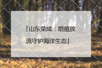 山东荣成：增殖放流守护海洋生态