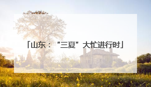 山东：“三夏”大忙进行时