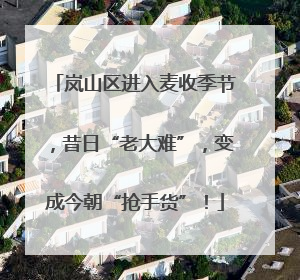 岚山区进入麦收季节，昔日“老大难”，变成今朝“抢手货”！