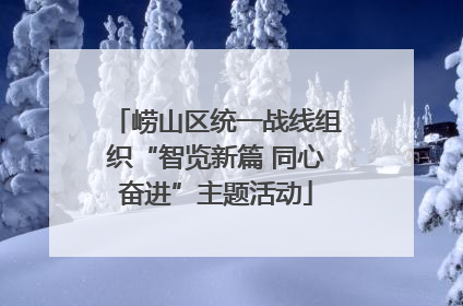 崂山区统一战线组织“智览新篇 同心奋进”主题活动