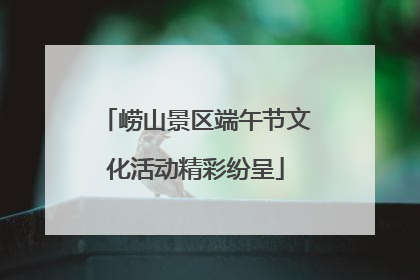 崂山景区端午节文化活动精彩纷呈