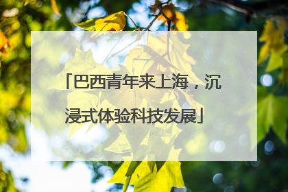巴西青年来上海，沉浸式体验科技发展