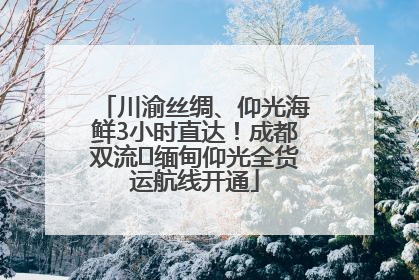 川渝丝绸、仰光海鲜3小时直达！成都双流⇌缅甸仰光全货运航线开通
