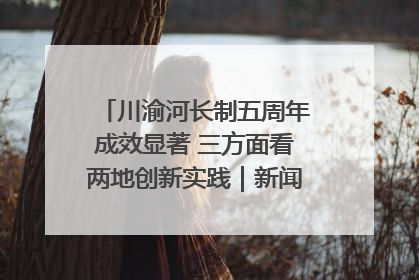 川渝河长制五周年成效显著 三方面看两地创新实践｜新闻发布最前线