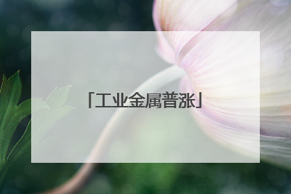 工业金属普涨