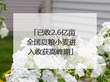已收2.6亿亩 全国夏粮小麦进入收获高峰期