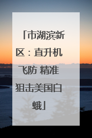 市湖滨新区：直升机飞防 精准狙击美国白蛾