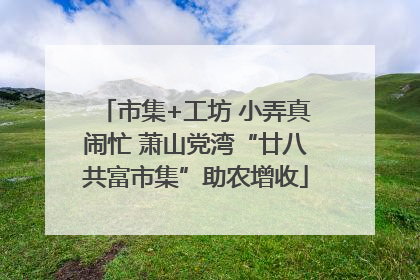 市集+工坊 小弄真闹忙 萧山党湾“廿八共富市集”助农增收