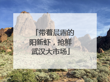 带着晨露的阳新虾，抢鲜武汉大市场