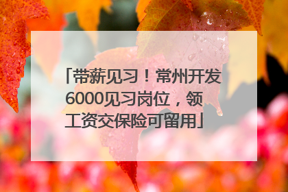 带薪见习！常州开发6000见习岗位，领工资交保险可留用