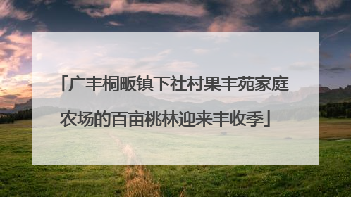 广丰桐畈镇下社村果丰苑家庭农场的百亩桃林迎来丰收季