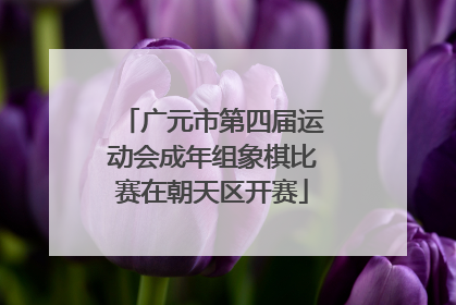 广元市第四届运动会成年组象棋比赛在朝天区开赛