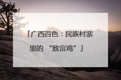 广西百色：民族村寨里的 “致富鸡”