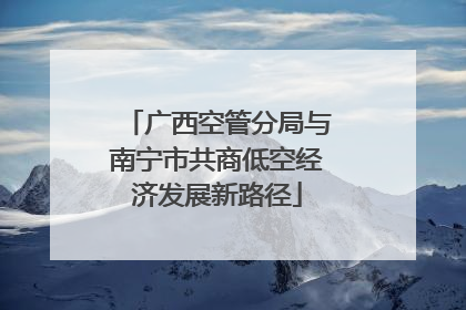 广西空管分局与南宁市共商低空经济发展新路径