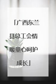 广西东兰县总工会情暖童心呵护成长