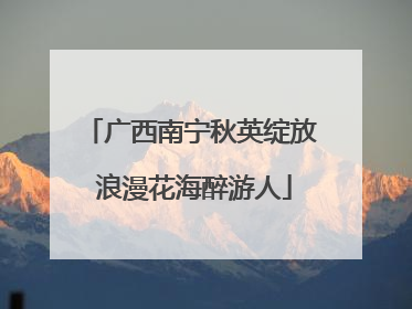 广西南宁秋英绽放 浪漫花海醉游人
