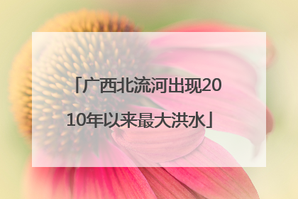 广西北流河出现2010年以来最大洪水