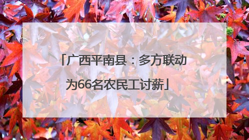 广西平南县：多方联动为66名农民工讨薪