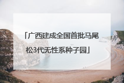 广西建成全国首批马尾松3代无性系种子园