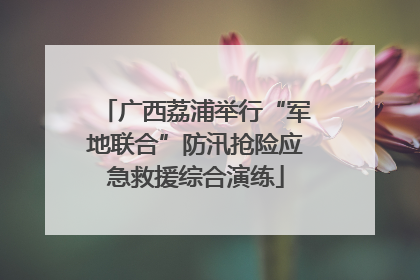 广西荔浦举行“军地联合”防汛抢险应急救援综合演练