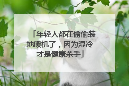 年轻人都在偷偷装地暖机了，因为湿冷才是健康杀手