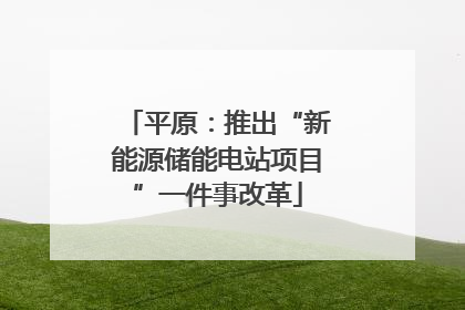 平原：推出“新能源储能电站项目”一件事改革