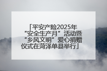 平安产险2025年“安全生产月”活动暨“乡风文明”爱心捐赠仪式在菏泽单县举行