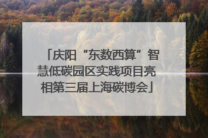 庆阳“东数西算”智慧低碳园区实践项目亮相第三届上海碳博会