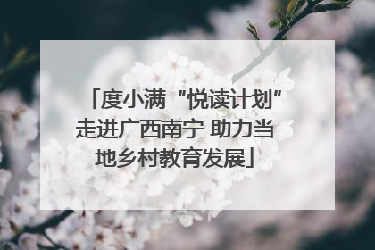 度小满“悦读计划”走进广西南宁 助力当地乡村教育发展