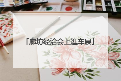 廊坊经洽会上逛车展