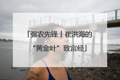 强农先锋丨崔洪海的“黄金叶”致富经