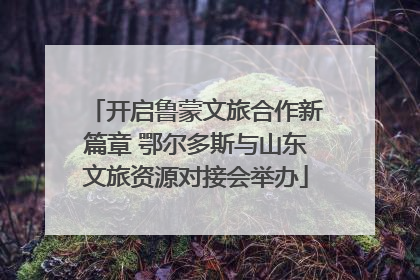 开启鲁蒙文旅合作新篇章 鄂尔多斯与山东文旅资源对接会举办