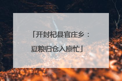 开封杞县官庄乡：夏粮归仓入廪忙