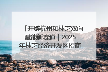 开辟杭州和林芝双向赋能新赛道｜2025年林芝经济开发区招商引资（杭州）推介展销活动在杭举办