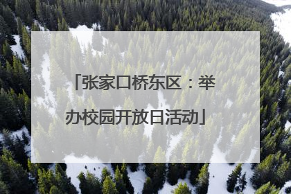 张家口桥东区：举办校园开放日活动